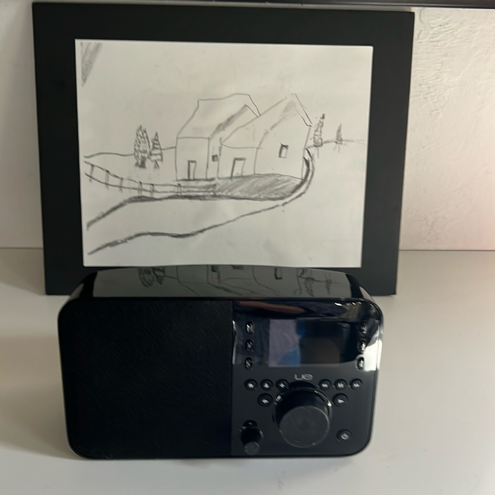 Logitech UE smart radio.